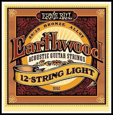 Ernie Ball P02010 (12 Telli) Akustik Gitar Teli