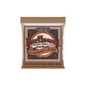 Ernie Ball P02153 09-46 (12 Telli) Akustik Gitar Teli